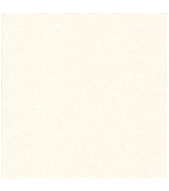 Papier peint stock DELZONGLE Collection BATIPLUS 2026 référence 7038 série B