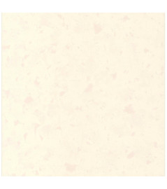 Papier peint stock DELZONGLE Collection BATIPLUS 2026 référence 7052 série E
