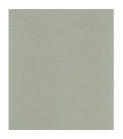 Papier peint stock DELZONGLE Collection SOPHIA 2025 référence 5042