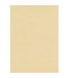 Papier peint stock DELZONGLE Collection PRIMA 2025 référence 6004