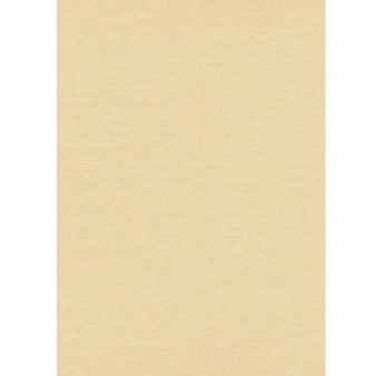 Papier peint stock DELZONGLE Collection PRIMA 2025 référence 6004