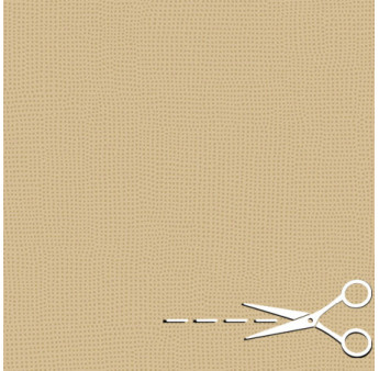 Revêtement de sol DELZONGLE Acoustic 33-19+ Réf.3319632 point beige foncé sur beige clair 2m
