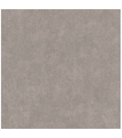 Revêtement de sol DELZONGLE Acoustic 2S3+ Réf.2691 béton gris clair 2m