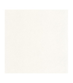 Papier Peint CASADECO Nest calcaire NEST201000000