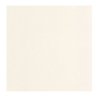 Papier Peint CASADECO Nest blanc coton NEST201000220