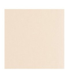Papier Peint CASADECO Nest blanc craie NEST201000303