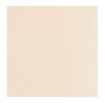 Papier Peint CASADECO Nest blanc craie NEST201000303