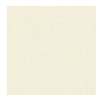 Papier Peint CASADECO Nest beige crème NEST201000424