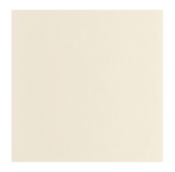 Papier Peint CASADECO Nest beige pierre NEST201001010