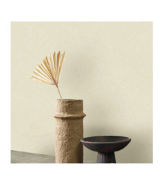 Papier Peint CASADECO Collection NEST GREGE NEST201001111