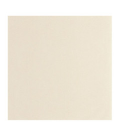 Papier Peint CASADECO Nest beige parchemin NEST201001212