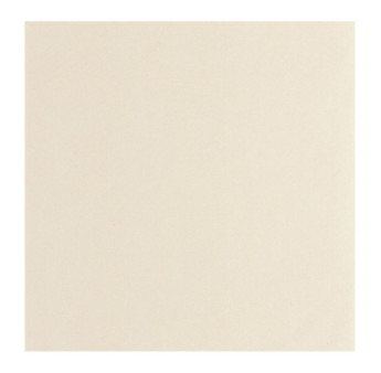 Papier Peint CASADECO Nest beige parchemin NEST201001212