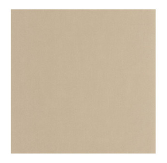 Papier Peint CASADECO Nest lin NEST201001313