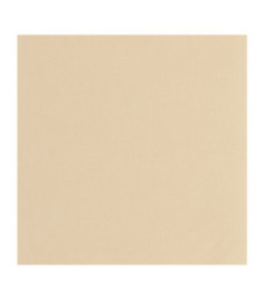 Papier Peint CASADECO Nest coquille d’oeuf NEST201001414