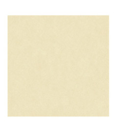 Papier Peint CASADECO Nest beige sable NEST201001515