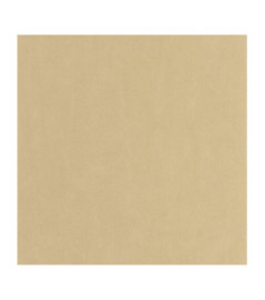 Papier Peint CASADECO Nest beige chamois NEST201001616