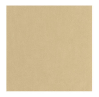 Papier Peint CASADECO Nest beige chamois NEST201001616