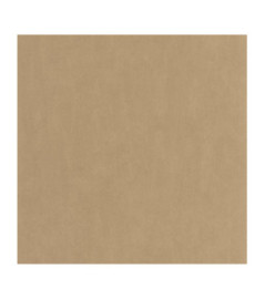 Papier Peint CASADECO Nest cappuccino NEST201002121