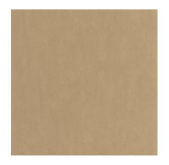 Papier Peint CASADECO Nest cappuccino NEST201002121