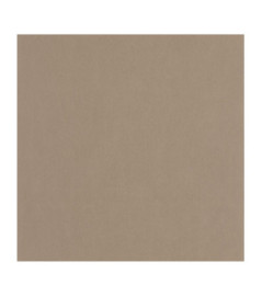 Papier Peint CASADECO Nest marron glacé NEST201002222