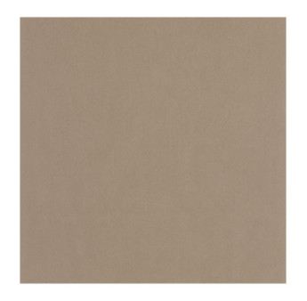 Papier Peint CASADECO Nest marron glacé NEST201002222