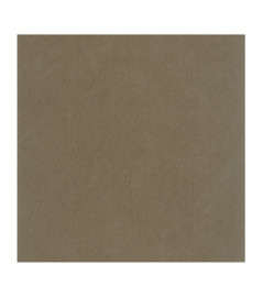 Papier Peint CASADECO Nest marmotte NEST201002323