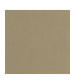 Papier Peint CASADECO Nest beige ficelle NEST201002662