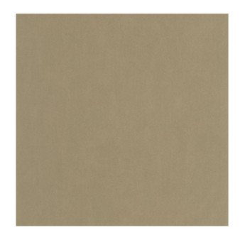 Papier Peint CASADECO Nest beige ficelle NEST201002662
