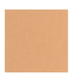 Papier Peint CASADECO Nest abricot NEST201003232