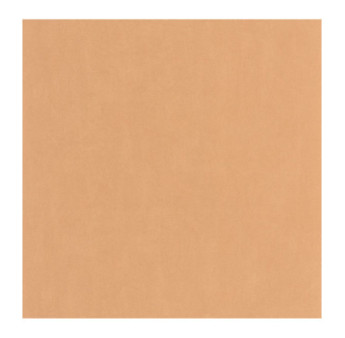 Papier Peint CASADECO Nest abricot NEST201003232