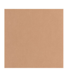 Papier Peint CASADECO Nest terracotta NEST201003404