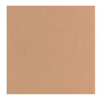 Papier Peint CASADECO Nest terracotta NEST201003404