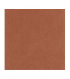 Papier Peint CASADECO Nest brique NEST201003774