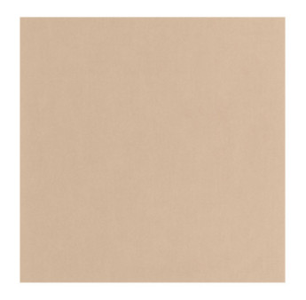 Papier Peint CASADECO Nest beige désert NEST201004334