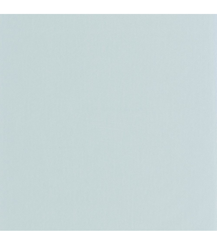Papier Peint CASADECO Nest bleu nuage NEST201006106 Papier Peint CASADECO Nest bleu nuage NEST201006106