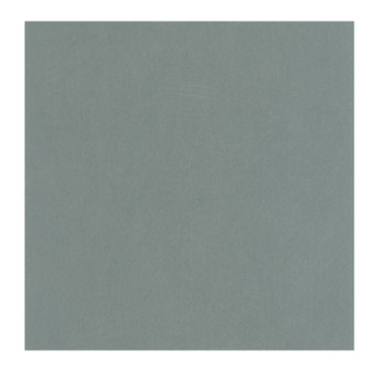 Papier Peint CASADECO Nest bleu orage NEST201006464