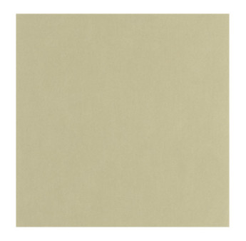 Papier Peint CASADECO Nest vert pistache NEST201007202