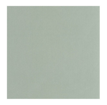 Papier Peint CASADECO Nest vert sauge NEST201007272