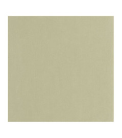 Papier Peint CASADECO Nest vert tilleul NEST201007317