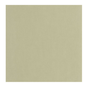 Papier Peint CASADECO Nest vert tilleul NEST201007317
