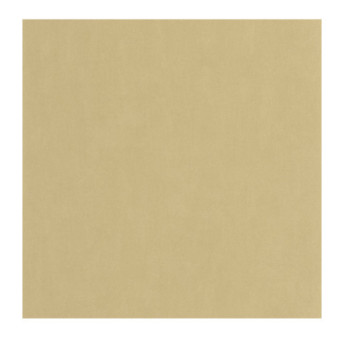 Papier Peint CASADECO Nest argile NEST201007337