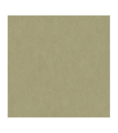Papier Peint CASADECO Nest vert kaki NEST201007505