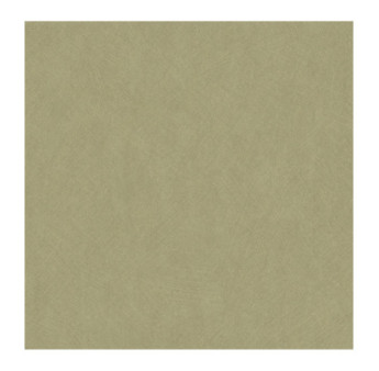 Papier Peint CASADECO Nest vert kaki NEST201007505