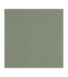 Papier Peint CASADECO Nest vert nil NEST201007766
