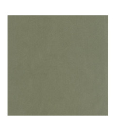 Papier Peint CASADECO Nest vert taÏga NEST201007818