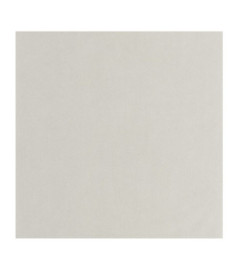 Papier Peint CASADECO Nest gris plume NEST201009229