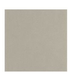 Papier Peint CASADECO Nest gris étain NEST201009339