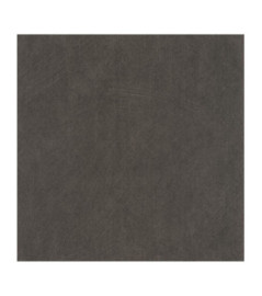 Papier Peint CASADECO Nest noir réglisse NEST201009909