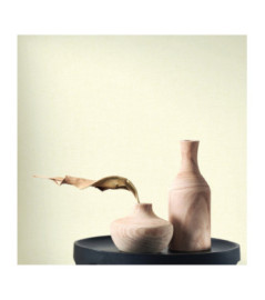 Papier Peint CASADECO Collection MATERA CARACTERE SABLE MATA201171010
