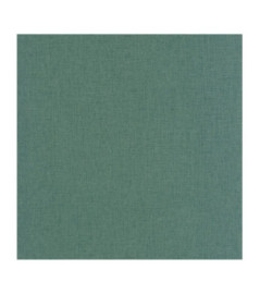 Papier Peint CASELIO Linen Edition 2 LNI103227770